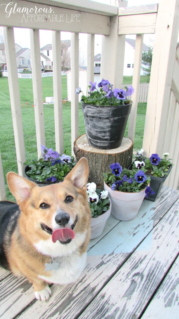 DIY flower pots