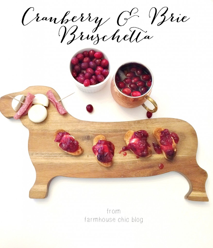 The perfect appetizer for your next Holiday party: cranberry & brie bruschetta
