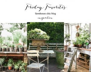 Friday Favorites