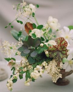 Friday Favorites #50