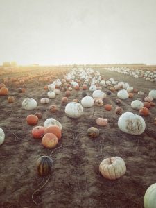 Friday Favorites #58