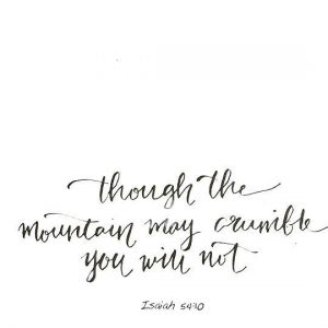 Friday Favorites #57