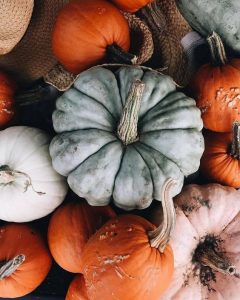 Friday Favorites #61