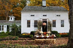 Friday Favorites #59