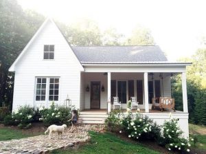 Friday Favorites #62