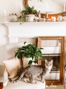 Spring Mantel Design